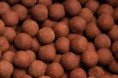 /album/boilie/boilies-jpg/